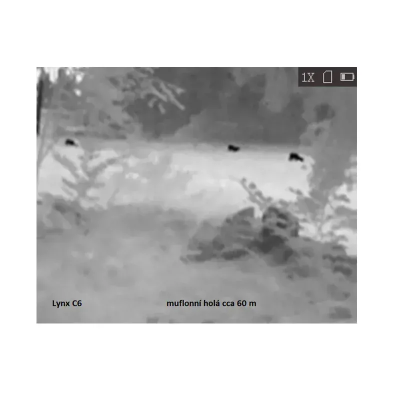 Hikmicro LYNX LC 06 S